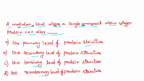 question-17-05-a-mutation-that-alters-single-amino-acid-within-collagen-protein-can-alter-the-primary-level-of-proteln-structure_-the-secondary-level-of-proteln-structure-the-tertiary-level-10116