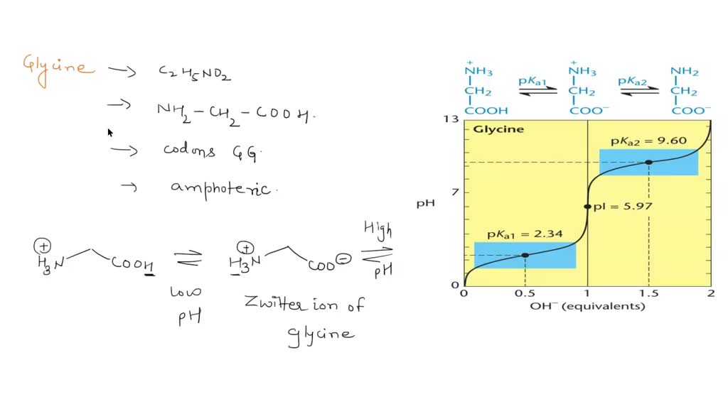SOLVED What is the balanced net ionic equations of the acidbase titration curve for glycine