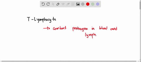 1the-primary-function-of-activated-t-cells-is-to-combat-pathogens-in-interstitial-fluid-pathogens-in-blood-or-lymph-pathogens-in-the-mouth-pathogens-in-the-gut-pathogens-that-have-already-en-75965