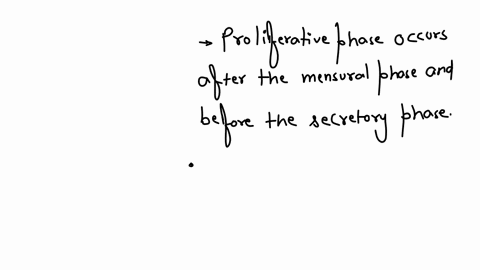 the-proliferative-phase-in-female-reproductive