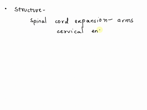 which-structure-is-highlighted-multiple-choice-sacral-region-coccygeal-region-thoracic-region-lumbar-region-prei-71935