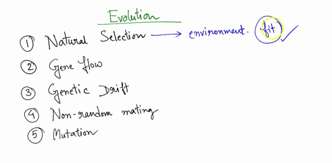 what-are-the-five-mechanisms-of-evolution-be-sure-to-explain-exactly-how-each-mechanism-drives-evolution-04692