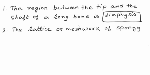 s-descnbing-the-parts-of-the-humerus-with-the-appropriate-feature-then-place-the-structures-in-order-from-proximal-to-distal-play-anatomical-neck-play-lesser-tubercle-radial-groove-ploy-grea-52046