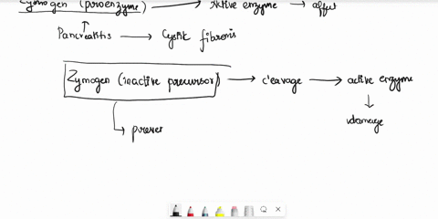 we-express-multiple-types-of-proteases-in-digestion-to-efficiently-break-down-proteins-into-short-sequences-including-pepsin-trypsin-and-chymotrypsin-looking-at-the-digestion-products-above-93377