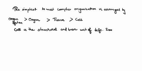 choose-the-correct-order-of-organization-from-simplest-to-most-complex-organ-tissue-cell-organ-system-organ-system-organ-tissue-cell-cell-tissue-organ-organ-system-tissue-organ-organ-system-22991