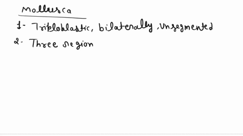 what-are-the-major-characteristics-of-mollusks-65736