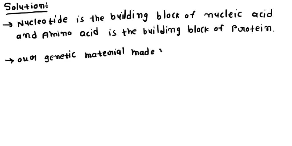 SOLVED The table below shows the building blocks of the macromolecules. Which building blocks
