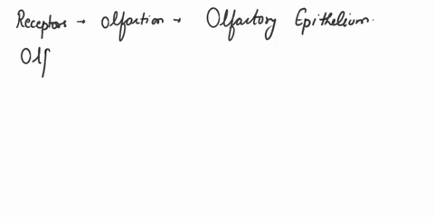 select-the-correct-wvord-from-the-ilst-complete-each-sentence-olladary-3id-vilid4l-cconcun-roren-hninietona-olladay-itact-aumet-ecconcan-rcren-hlcmarnul-cnbom-eroc-fcr-oinsioty-tecenler-neur-40692