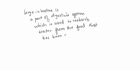 functions-of-the-large-intestine-include-select-one-a-most-of-the-chemical-breakdown-of-food-b-absorption-of-bile-salts-c-secretion-of-vitamins-d-reabsorption-of-water-and-compaction-of-fece-08258