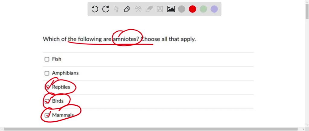 SOLVED: Question 4 2 pts Which of the following are amniotes? Choose