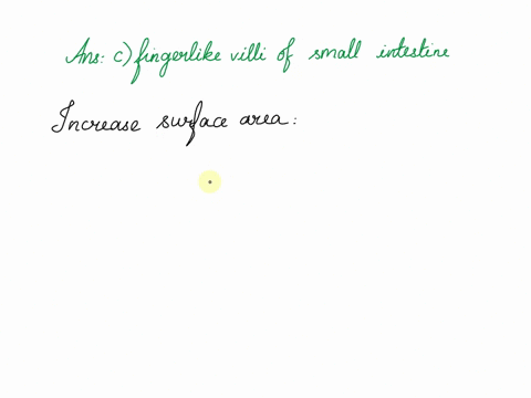 in-humans-most-of-the-absorption-of-the-products-of-digestion-takes-place-across-a-the-squamous-epit-28952