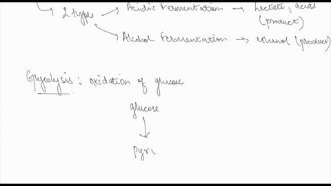 fermentation-is-needed-for-anaerobic-glycolysis-a-only-in-organisms-that-produce-ethanol-b-in-order-t0-convert-nadh-back-to-nad-so-glycolysis-can-continue-c-to-convert-lactate-to-pyruvate-do-79806