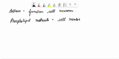how-does-adhesion-help-contribute-to-making-life-on-earth-possible-69536
