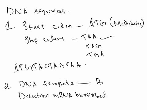 for-questions-4-a-double-stranded-dna-molecule-with-the-sequence-shown-here-produces-polypeptide-that-is-fve-amino-acids-long-not-including-the-stop-codon-beginning-with-starting-methionine-76633