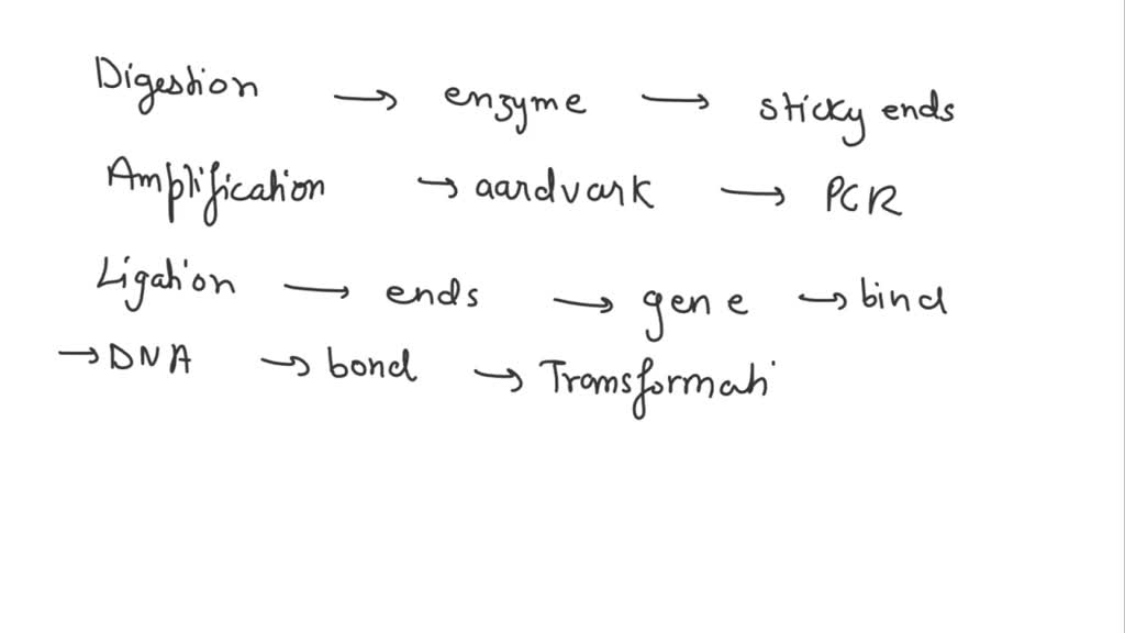 SOLVED: Level 3: SynthesislEvaluation Evoution connection Ethical