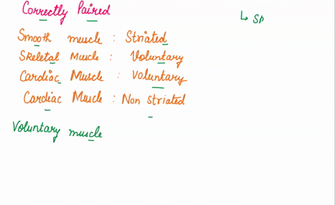 which-of-the-following-is-correctly-paired-smooth-muscle-striated-skeletal-muscle-voluntary-control-cardiac-muscle-voluntary-control-cardiac-muscle-nonstriated-submit-my-answers-give_up-58249