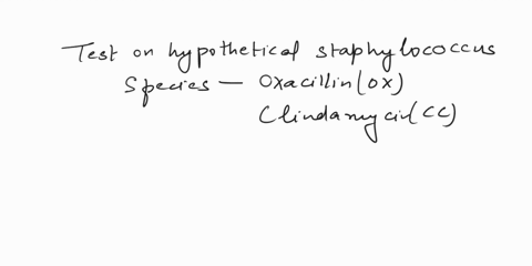 suppose-you-do-this-test-on-hypothetical-oxacillin-ox-ad-clindamycin-staphylococcus-species-with-the-antibiotics-cc-oxacillin-and-the-clindamycin-disks-you-record-zone-diameters-of-14-mm-for-72206