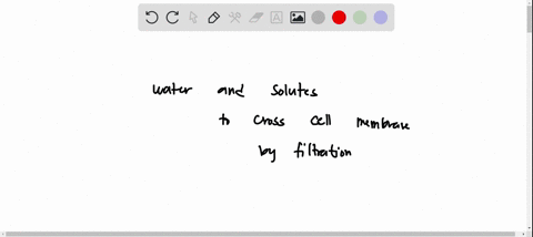 question-43-the-force-that-causes-water-and-solutes-to-cross-cell-membranes-by-filtration-is-a-concentration-gradient-hydrostatic-pressure-kinetic-energy-of-molecules-energy-provided-by-atp-01654