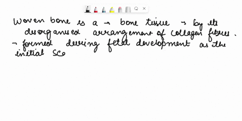 woven-bone-is-formed-during-which-of-the-following-situation-apuberty-bfetal-development-and-after-fractures-c-the-first-few-months-following-birth-d-periods-of-bone-decalcification-in-old-a-47391