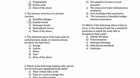 which-of-the-following-would-most-likely-qualify-as-a-macromolecule-protein-dna-rna-cellulose-all-of-the-above-leave-blank-2-which-of-the-following-is-not-a-carbohydrate-glucose-sucrose-glycine-cellul