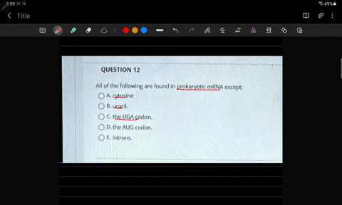 question-12-all-of-the-following-are-found-in-prokaryotic-mrna-except-oa-cytosine-b-uracil-c-the-uga-codon-d-the-aug-codon-e-introns-66653