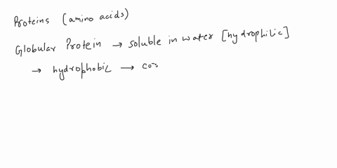 globular-proteins-are-typically-constructed-from-several-layers-of-secondary-structure-with-hydrophobic-core-and-a-hydrophilic-surface-is-this-true-for-a-fibrous-protein-like-keratin-50337