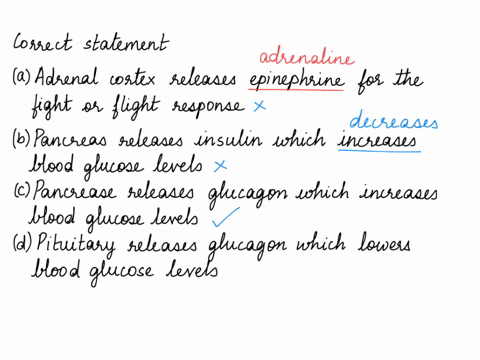 which-of-the-following-rows-correctly-matches-the-the-hormone-it-secretes-and-endocrine-gland-to-to-the-target-tissues-affected-by-the-hormone-adrenal-cortex-releases-epinephrine-for-the-fig-55638