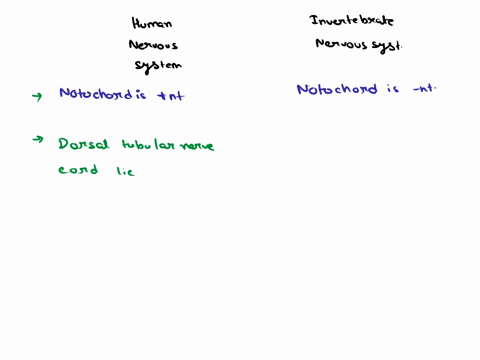 bllobed-braln-segmental-ganglla-nerve-network-anterlor-ganglla-nerve-trunks-a-hydra-b-planaria-c-earthworm-dgrasshopper-figure-339-invertebrate-nervous-systems-a-nerve-net-of-radlates-the-si-87962