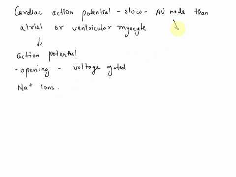 1-why-is-the-cardiac-action-potential-propagated-more-slowly-in-an-av-node-cell-then-in-an-atrial-or-ventricular-myocyte-how-can-be-av-conduction-affected-by-hypokalemia-03238