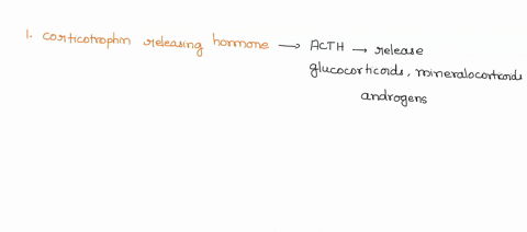 please-match-the-hypothalamic-hormones-with-their-actions-on-the-pars-distalis-and-peripheral-tissues-1-corticotrophin-releasing-hormone-2-dopamine-3-growth-hormone-releasing-hormone-4-somat-57874