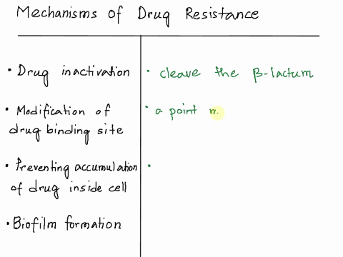match-the-mechanism-antimicrobial-drug-resistance-t0-its-best-description-drug-inactivation-modification-of-drug-binding-site-preventing-accumulation-of-drug-inside-cell-biofilm-formation-en-78107