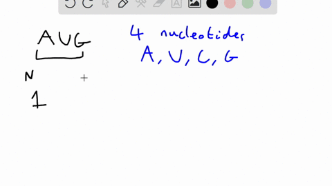 if-the-genetic-code-used-four-bases-as-a-code-instead-of-three-how-many-code-units-could-be-encoded-and-why-28007