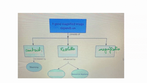 move-the-terms-into-the-correct-empty-boxes-to-complete-the-concept-map-electronegativity-resolution-wavelength-refraclion-contrast-magnification-good-magnified-image-depends-on-consists-0f-09457