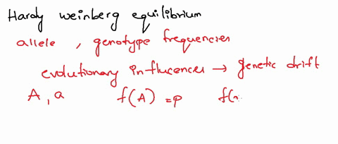review-the-hardy-weinberg-equilibrium-equation-what-parts-of-the-equation-represent-gene-frequencies-75955