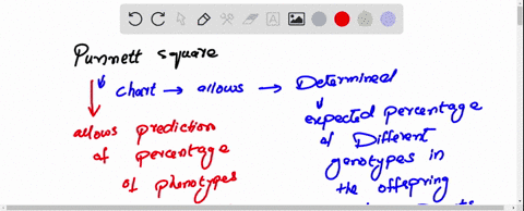 using-a-punnet-square-also-showing-the-genotypes-of-the-parents-and-children