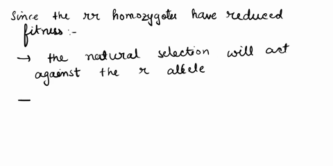 an-allele-r-is-recessive-to-r-such-that-rr-homozygotes-have-wildtype-rr-fitness-but-rr-homozygotes-fail-to-develop-properly-and-die-a-few-days-after-fertilization-if-r-and-r-are-initially-pr-76792