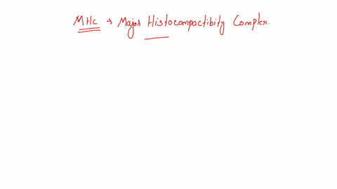 which-cells-express-mhc-and-to-which-cells-does-mhc-typically-present-the-antigen-select-one-mhc-is-expressed-on-all-nucleated-cd4-lymphocytes-cells-and-presents-ag-to-b-mhc-is-expressed-on-22633