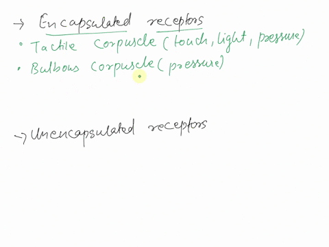 ch_14_hw-art-activity-structure-of-free-and-encapsulated-generalsensory-receptors-11-of-70-parta-drag-each-of-the-indicated-labels-into-the-appropriate-bin-to-identify-the-sensory-receptors-74716