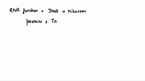 which-of-the-following-statements-about-rna-are-true-choose-all-that-apply-it-is-a-polymer-composed-of-amino-acid-subunits-it-is-assembled-into-much-shorter-lengths-than-dna-it-sometimes-for-22664