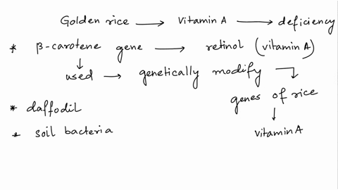 in-some-areas-of-the-world-vitamin-a-deficiencies-lead-to-a-high-number-of-deaths-every-year-to-combat-this-problem-scientists-created-igolden-rice-in-contrast-to-white-rice-using-recombinan-04443
