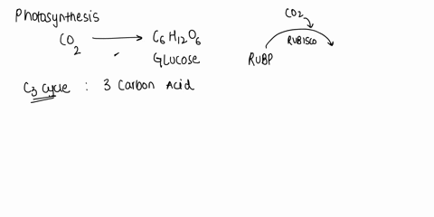 what-happens-to-the-carbon-and-oxygen-from-co2-after-it-has-been-removed-from-the-air-by-the-plant-via-photosynthesis-73859