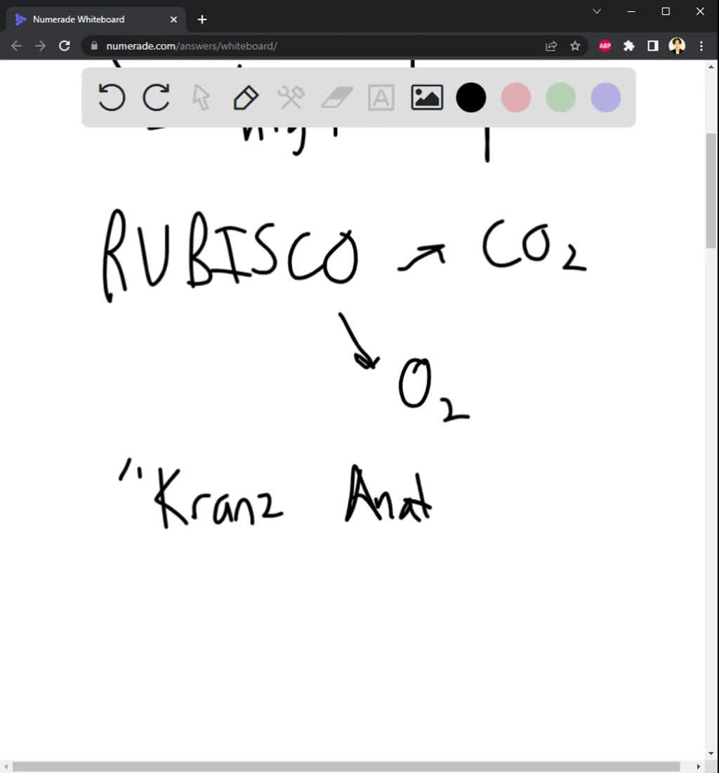 SOLVED Explain the advantages and disadvantages of the C4 pathway for photosynthesis. Under