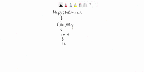 1-diagram-the-hypothalamic-pituitary-thyroid-axis-make-sure-to-include-the-feedback-loops-and-spell-out-the-hormone-names-2-what-is-the-physiological-role-of-thyroid-hormones-does-t3-or-t4-p-08575