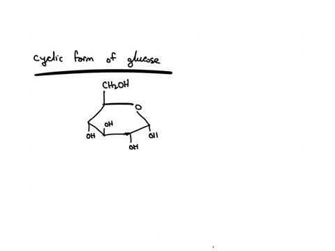 what-are-the-two-functional-groups-in-the-cyclic-form-of-glucose-a-carboxylic-acid-b-aldehyde-c-ketone-d-ether-e-ester-f-alcohol