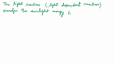 all-of-the-following-are-products-of-the-light-reactions-in-photosynthesis-except-atp-h2o-02-nadph-all-of-these-are-made-in-the-light-reactions-93094