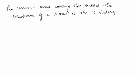 the-connective-tissue-covering-that-encloses-the-sarcolemma-of-an-individual-muscle-fiber-is-called-06056