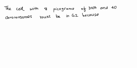 an-animal-cell-in-g1-has-4-picograms-of-dna-and-20-chromosomes-a-cell-of-this-species-with-8-picograms-of-dna-and-40-chromosomes-must-be-in-a-g-zero-b-anaphase-c-prophhase-d-g2-97546