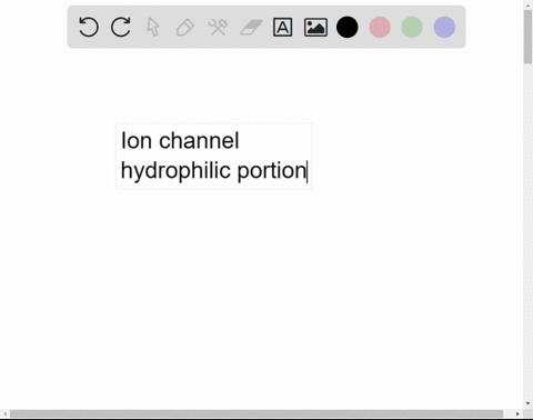 explain-how-the-structure-of-an-ion-channel-relates-to-its-function-93209