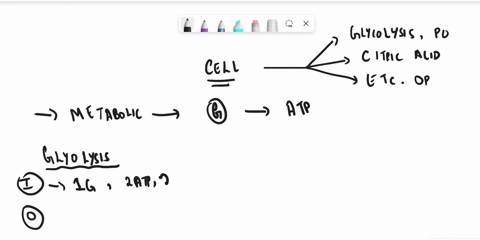 name-and-order-the-pathways-for-metabolism-of-glucose-to-carbon-dioxide-during-cellular-respiration-identify-the-major-inputs-and-outputs-of-each-pathway-in-terms-of-carbon-compounds-electro-10097