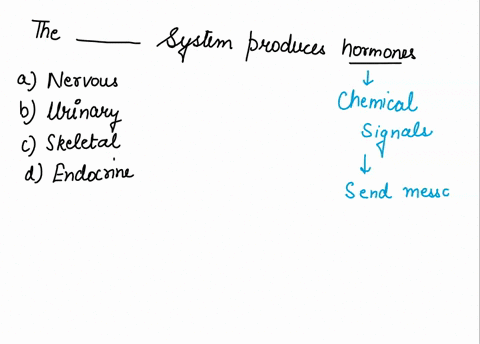 the-___________-system-produces-hormones-a-nervous-b-urinary-c-skeletal-d-endocrine-91496